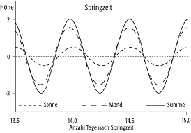 Springtide